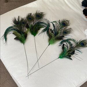 Real Peacock Feather Stems set of 4